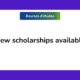 scholarships for undergraduate students in Pakistan