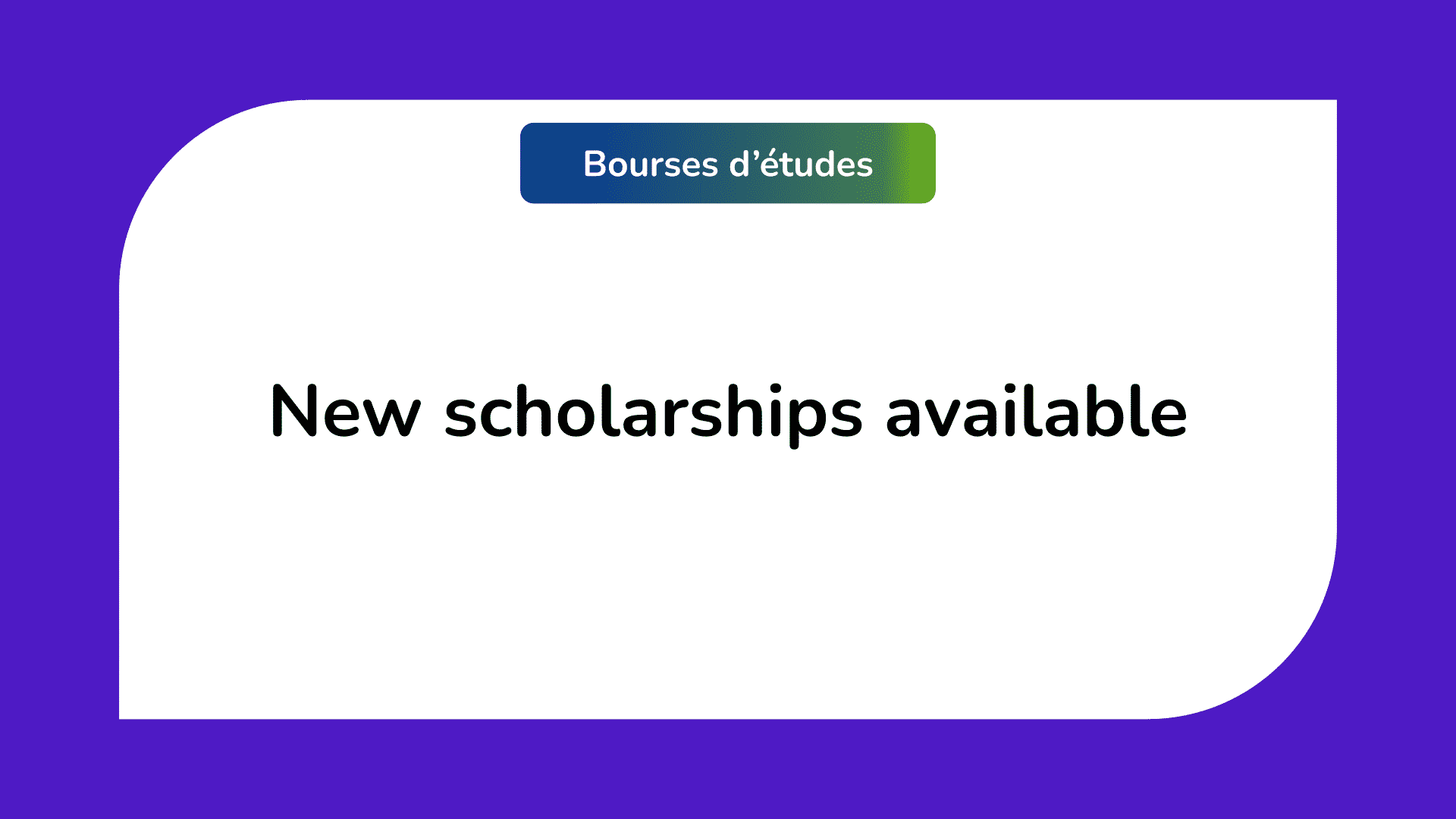 scholarships for undergraduate students in Pakistan