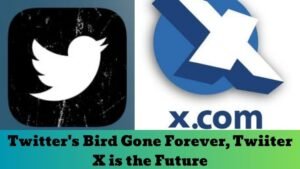 Twitter X