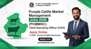 Punjab Cattle Market Management PCMMDC jobs 2026 Chief Operating Officer apply online