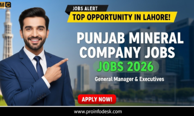 Punjab Mineral Company Jobs 2026 in Lahore Apply Online