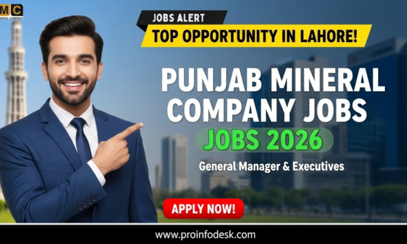 Punjab Mineral Company Jobs 2026 in Lahore Apply Online