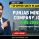 Punjab Mineral Company Jobs 2026 in Lahore Apply Online