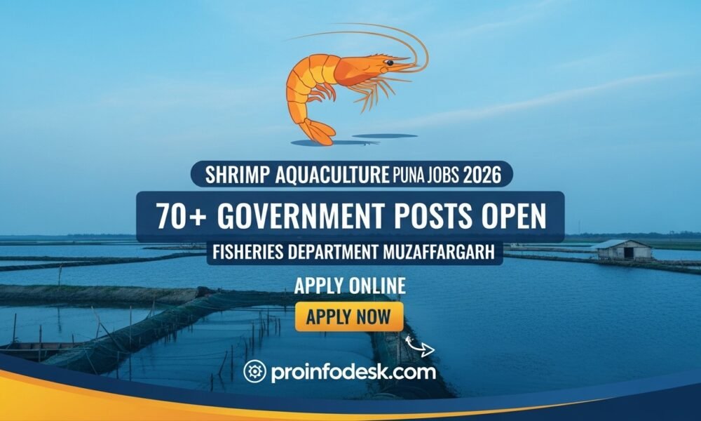 Shrimp Aquaculture Punjab Jobs 2026 Muzaffargarh Fisheries Department
