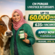 CM Punjab Livestock Internship 2026 Apply Online.png