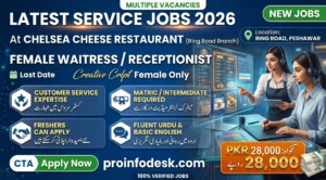 Female Waitress Receptionist Jobs in Peshawar 2026