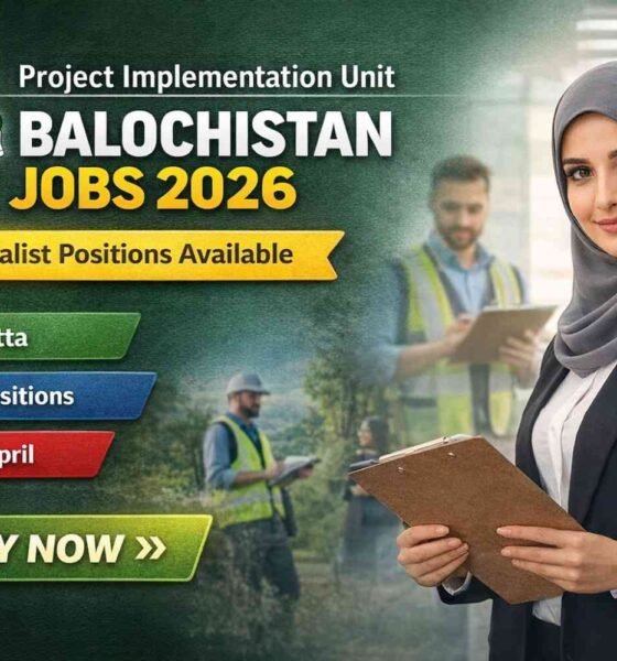 Project Implementation Unit Balochistan Jobs 2026