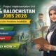 Project Implementation Unit Balochistan Jobs 2026