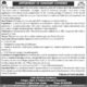 Higher & Technical Education Department Quetta Jobs 2026