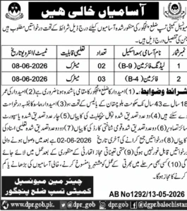 Municipal Committee Tasp Panjgur Jobs 2026