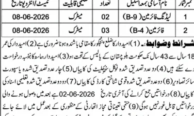 Municipal Committee Tasp Panjgur Jobs 2026