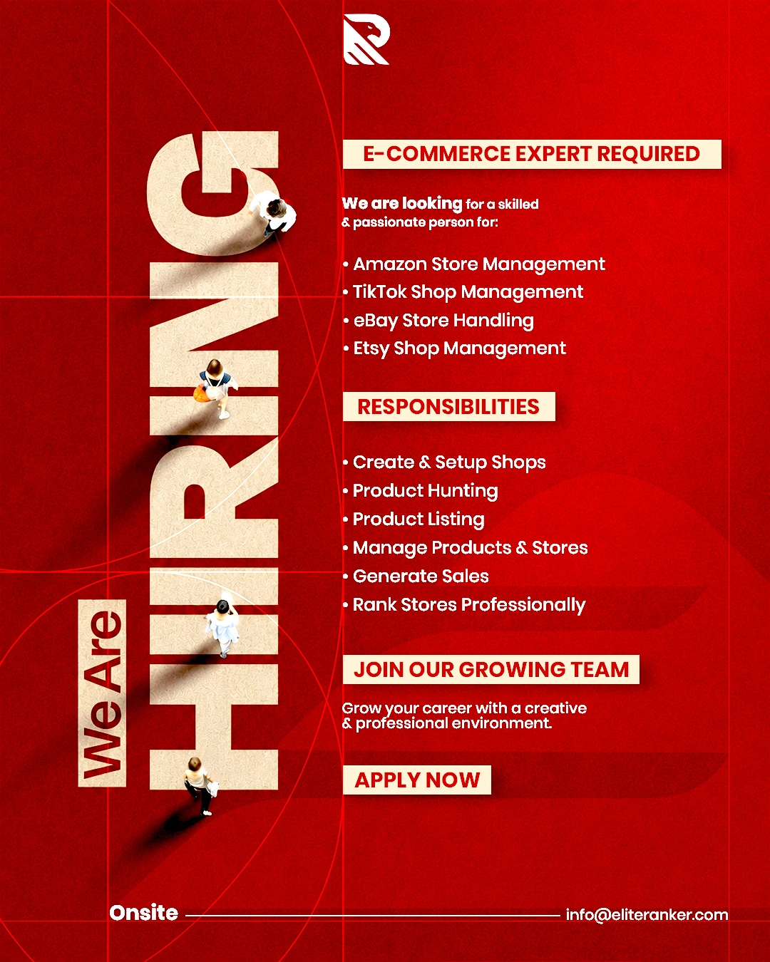 E-Commerce Expert Jobs in Peshawar 2026
